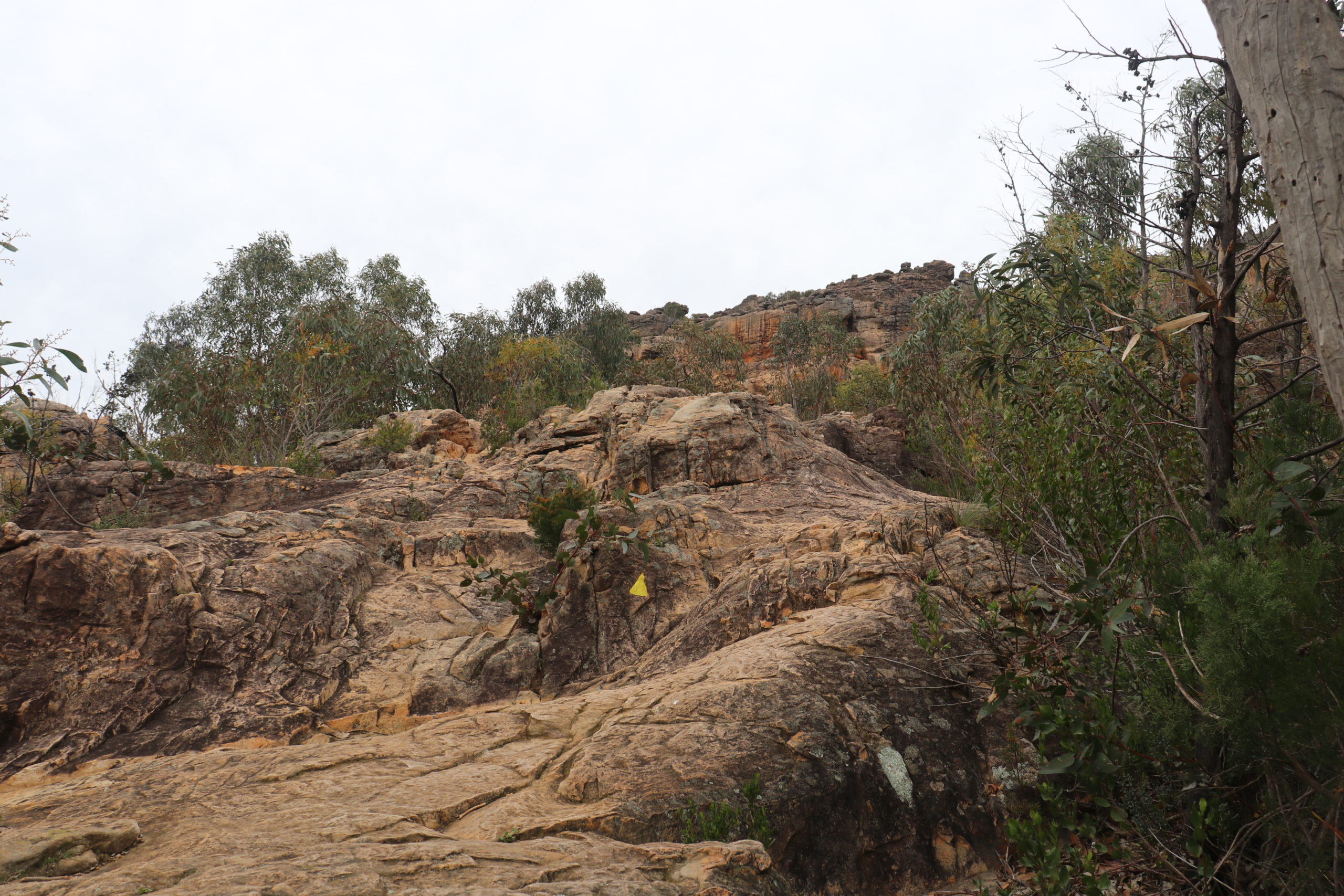 Read more about the article Grampians — Die Zweite
