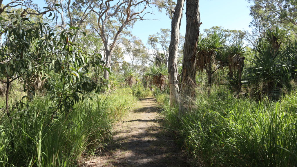 Townsville Town Common Conservation Park