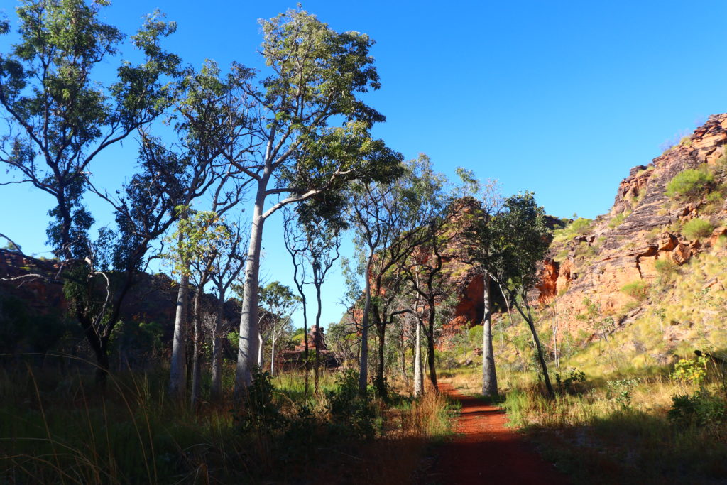 Kununurra: Mirima Nationalpark